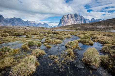 Arctic warming reveals moss that had been covered for 40,000 years - Earth.com