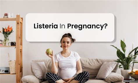 Listeria In Pregnancy: Symptoms & Its Precautions