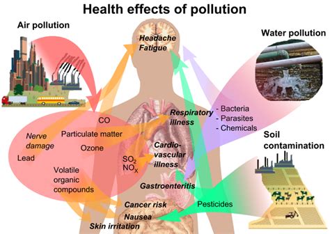 Pesticides - Everything Connects