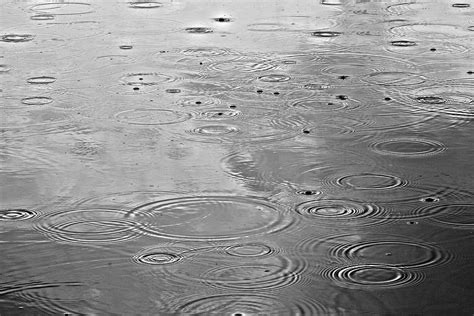 Rain Drops Water On - Free photo on Pixabay