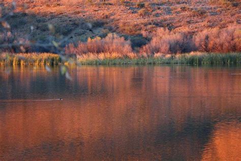 Patagonia Lake State Park in Patagonia Arizona AZ