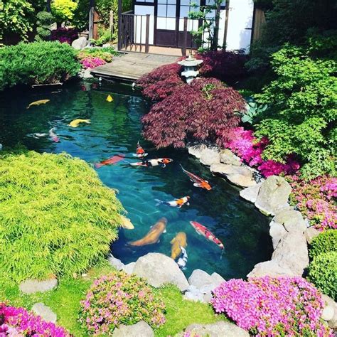 Pin by Varat Mingkhuan on Koi Box | Japanese garden landscape, Pond ...