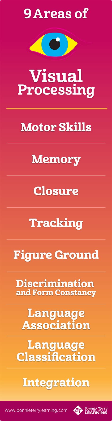 Visual Processing and Spelling (Memory, Discrimination, Motor Skills...)