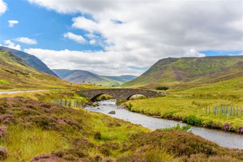 3,000+ Cairngorms Pictures Stock Photos, Pictures & Royalty-Free Images - iStock