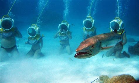 Aquablue Helmet Dive, Things to do in Moorea | Tahiti.com