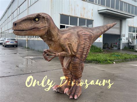 Halloween Realistic Velociraptor Costume | Only Dinosaurs