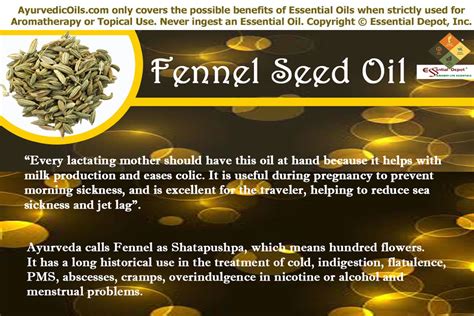 Health benefits of Fennel seed oil | Essential Oil