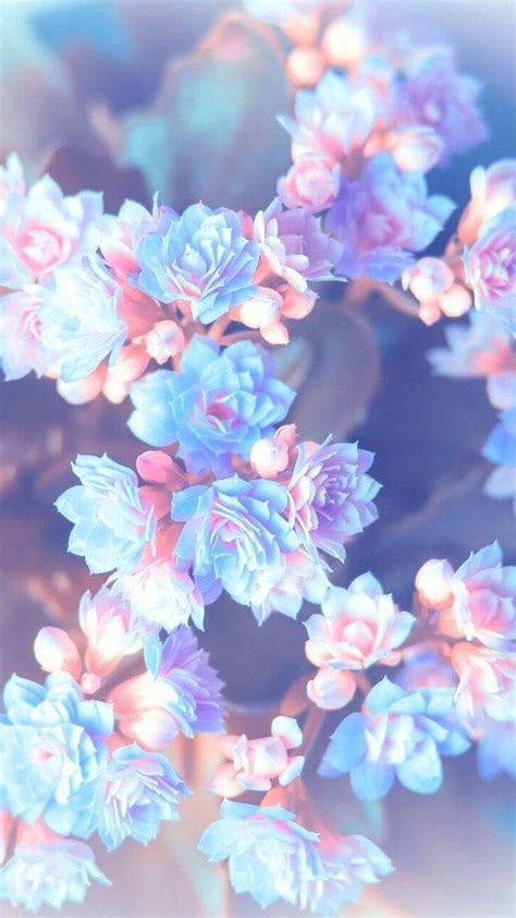 Aesthetic Blue And Pink Flowers Wallpapers - Wallpaper Cave