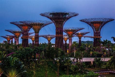 Supertrees of Singapore | TIME.com