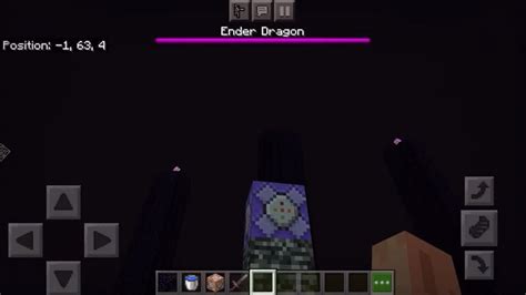 I tried killing the ender dragon with command blocks and... : r/Minecraft