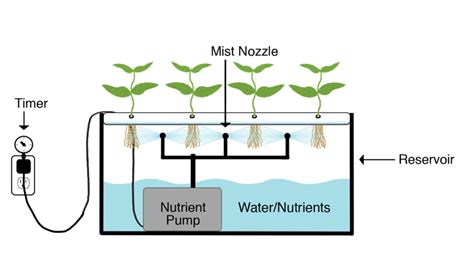 Aeroponics Version 1 | DESIGN INNOVATION CENTER