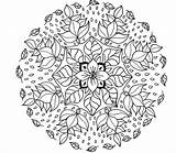 Sunflower Mandala Pages Coloring sketch template