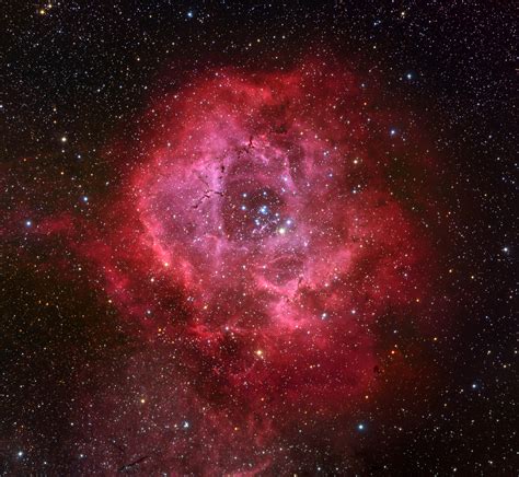 The Rosette Nebula