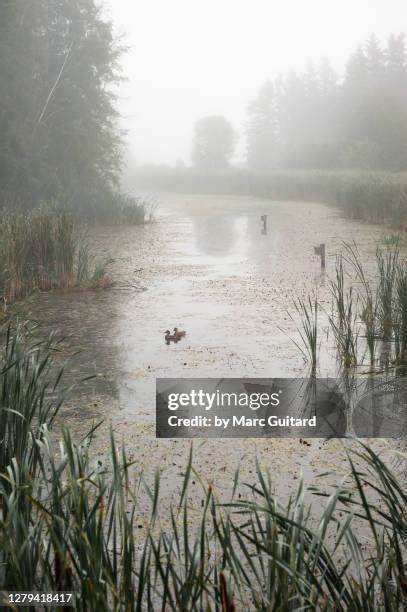 Sackville New Brunswick Photos and Premium High Res Pictures - Getty Images