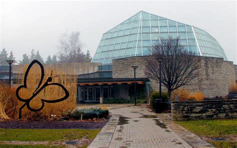 Niagara Parks Butterfly Conservatory: Photos to Inspire a Visit » I've Been Bit! Travel Blog