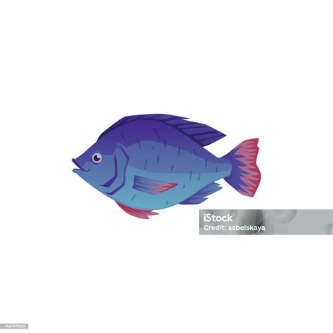 Cute Tilapia Fish Cartoon Flat Vector Illustration Isolated On White Background Stock ...