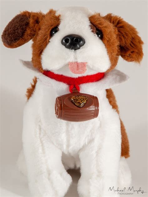 Elf on the Shelf Pets Saint Bernard Tradition Puppy Dog Stuffed Animal Plush | Elf pets, St ...