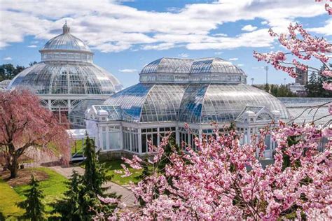 NYC: Pass für botanischen Garten & Ticket für Orchideenshow | GetYourGuide