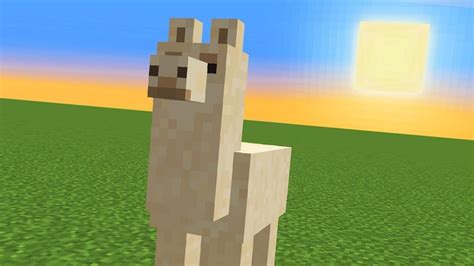 Minecraft Llama: Locations, Behaviour, uses and more!