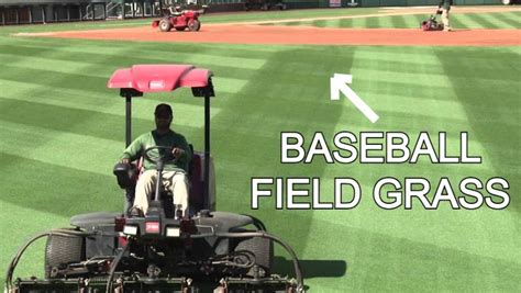 The Definitive Guide To Major League Baseball Stadium Grass