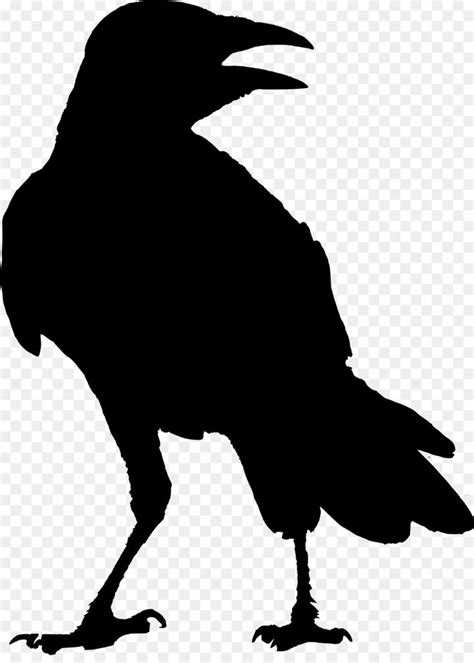 Bird Silhouette clipart - Bird ... in 2020 | Silhouette art, Raven artwork, Crow silhouette