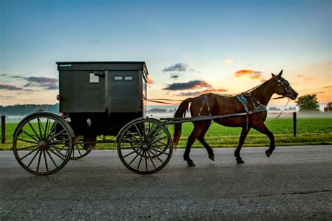 Amish Buggy Stock Photos, Pictures & Royalty-Free Images - iStock