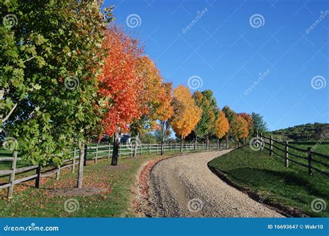 Country Lane stock image. Image of fall, quiet, countryside - 16693647