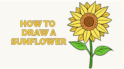 How To Draw A Sunflower For Kids - Have fun learning how to draw with ...