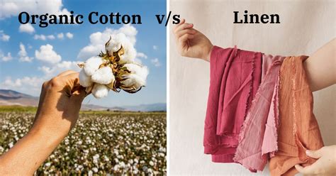 Linen vs. Cotton: Which Fabric Is Better For The Planet?