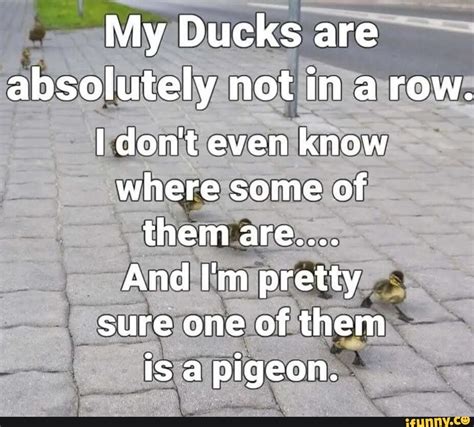 My Ducks are absolutely not in a row. I don't even know where some of them are.... And I'm ...