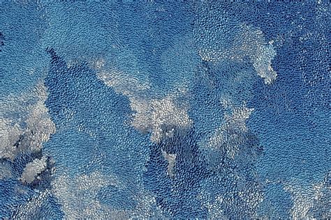 File:Frost patterns 1.jpg - Wikimedia Commons