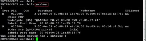 Remote Infrastructure Management: BROCADE SAN SWITCH CONFIGURATION