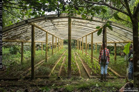 √ Plantation E Jardinagem | Mon Blog Jardinage