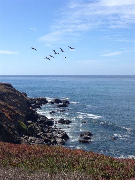 Hike along the Beach in Cambria, California Cambria California, Places Ive Been, Coastline ...