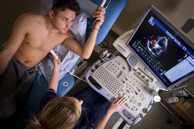 Doppler echocardiography test - Stock Image - C027/2821 - Science Photo Library