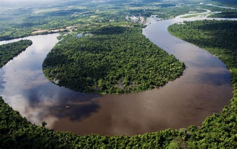 10 Faits Prouvés sur la Forêt Amazonienne – Je Savais Pas