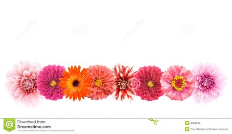 Border Lines Design Flowers Png - harddrive1tbportableseagate