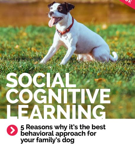 eBook - Social Cognitive Learning in Dog Training | LECA