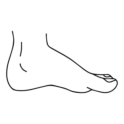 Vector Cartoon outline, Top view of Human man Left and right foot standing. Hand drawn linear ...