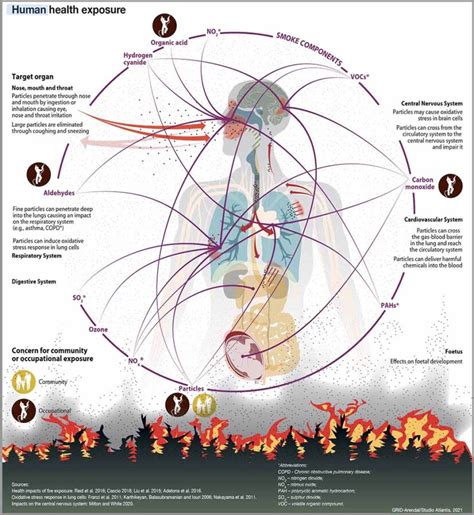 Human Health Exposure wildfire smoke health effects - Wildfire Today