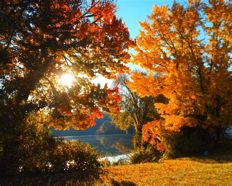 These Hikes in the Berkshires are a Must Visit for All Nature Lovers