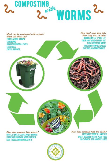 Vermicomposting poster | Worm composting | Pinterest | Egg shells ...