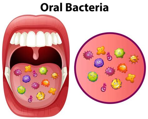 An Image Showing Oral Bacteria 294895 Vector Art at Vecteezy