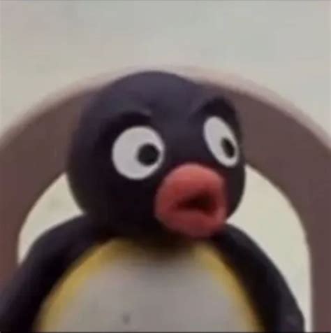 Pingu Shocked - Discord Pfp