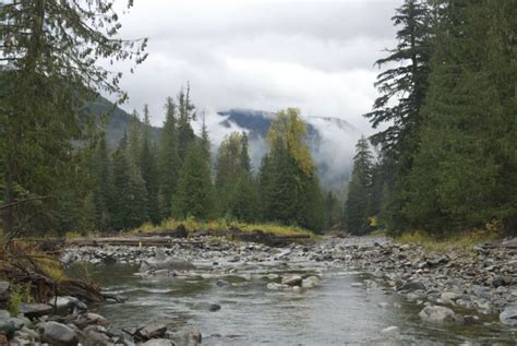 Idaho Panhandle National Forest - National Forest Foundation