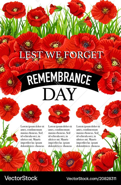 11 november remembrance day poppy poster Vector Image