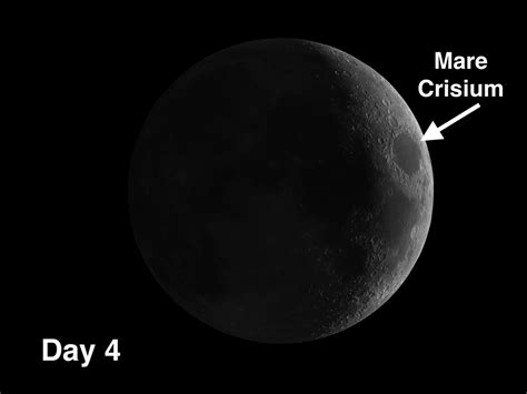 Mare Crisium and Lunar Transient Phenomena | Andrew Planck