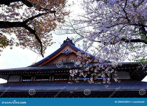 Yasukuni Jinja (Shinto-style Shrine) with Spring Cherry Blossom (sakura ) Stock Photo - Image of ...