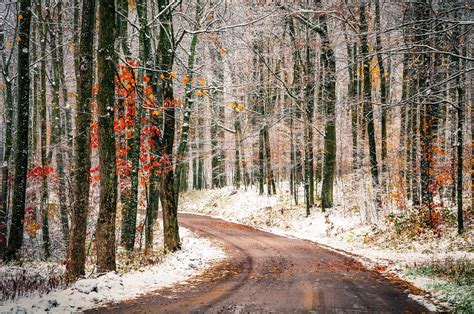 Soul Centered Photography: First Snow