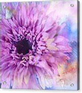 Painted Flower Photograph by Mary Timman - Fine Art America